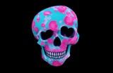 Fototapeta Zwierzęta - Bubblegum Candy Skull