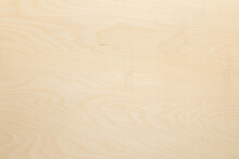 Texture Of Wood. High Key Birch Wood Plank Natural Texture, Plank Texture Background, Plank Tabletop Background.