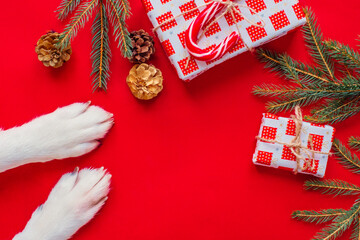 christmas background with cute dog paws - presents and decor on red copy space.
