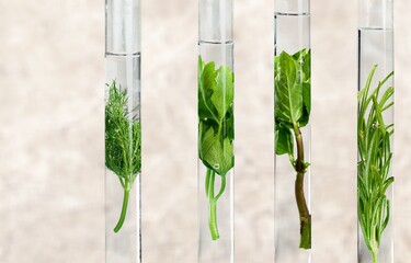 Poster - Ecology green plant in test tubes