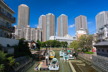 Wall Mural - 東京都中央区 佃の高層マンション群