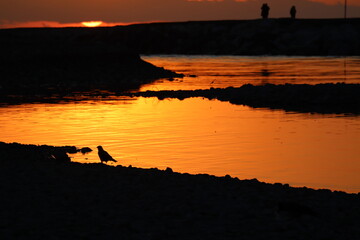 Sticker - sunset on the beach