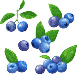 Wall Mural - blueberry fresh set cartoon. berry blue, bilberry fruit, ripe food, sweet organic, juicy healthy, leaf delicious, raw blueberry fresh vector illustration