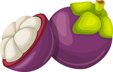 Poster - mangosteen fruit cut cartoon. organic sweet, healthy vitamin, natural nutrition, juicy purple, fresh tropical mangosteen fruit cut vector illustration