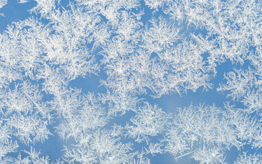 snow frost in the form of natural patterns on the window pane against the background of the morning sky