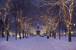 © Designpics - Park and trail covered in snow and illuminated by white lights in wintertime with a monument along the tree-lined trail; Boston, Massachusetts, United States of America