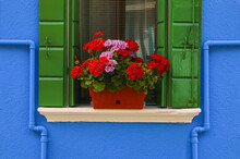 Vibrant Blue Building With Window And Green Shutters With Blossoming Plant On The Ledge; Burano, Venice, Italy