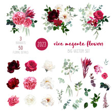 Trendy Magenta Bouquets Vector Design Big Set. Hot Pink Roses, Barbie Pink Ranunculus, White Peony, Dark Orchid
