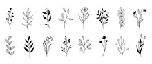 Hand Drawn Grass And Flowers, Minimalist Flowers With Elegant Leaves. Minimal Female Botanical Flower Branch In Silhouette Style. Botanical Trendy Greenery Vector For Decor And Print