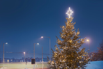 Wall Mural - Illuminated Christmas tree in residential district. Christmas decoration in city during advent. Prague, Czech Republic..