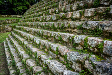 Green Foliage Growing On The Stone Steps In The Ancient Maya City Of Bonampak; Usumacinta Province, Chiapas, Mexico