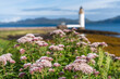© Designpics - Colourful flowers and vegetation near the Rubha nan Gall (Stevenson) Lighthouse near Tobermory, Scotland; Tobermory, Isle of Mull, Scotland