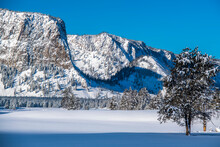 Mountain Haynes Against A Clear, Blue Sky Alongside The Snow-covered Madison River In Winter; Yellowstone National Park, United States Of America