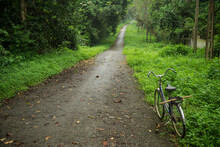 A Bicycle Sits On A Road Through A Vietnamese Jungle In Cuc Phuong National Park; Ho Chi Minh, Ninh Binh, Vietnam