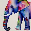 Colorful elephant