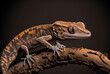 Close up of a malagasy gecko on a branch with a dark background closeup of a madagascan species. Generative AI