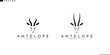 Antelope springbok logo. Beautiful animals on white background