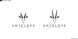 Fototapeta Tulipany - Antelope springbok logo. Beautiful animals on white background