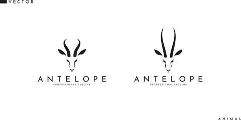 Canvas Print - Antelope springbok logo. Beautiful animals on white background