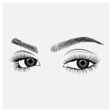 Hand Drawn Illustration Of The Eye With Long Full Lashes