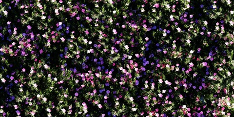 Wall Mural - background flower background texture nature backdrop 3d render wallpaper pink green plant 