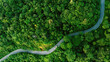 Leinwanddruck Bild - Road in the middle of the forest , road curve construction up to mountain, Rainforest ecosystem and healthy environment concept	