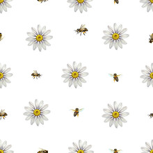 Seamless Pattern With Daisies And Bees. Watercolor Illustration. For Textiles, Wrapping Paper And Banners, Postcards