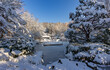 Weißer Winter in München, Westpark: Erholung, Freizeit im Schnee - Spaziergang in der schönen kalten Stadtlandschaft, Blick auf den vereisten See am japanischen Garten