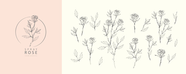 Wall Mural - set of luxury flowers and logo. trendy botanical elements. hand drawn line leaves branches and bloom
