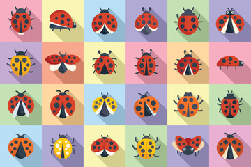 Wall Mural - Insect ladybird icons set flat vector. Child fly. Insect bug