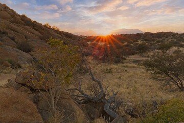 Wall Mural - Sunrise in calm morning in Spitzkoppe, panoramic, desert landscape of famous red, granite rocks, Namibia, Africa 