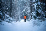 Człowiek na nartach biegowych w zimowym lesie
