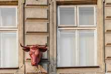 The Red Bull Head On One Of The Residential Houses In The City.