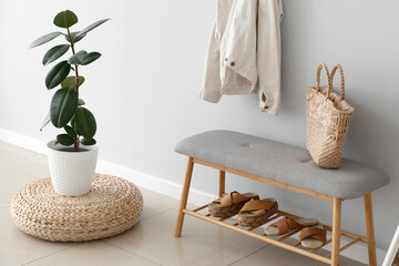 Interior of light hall with houseplant and bench