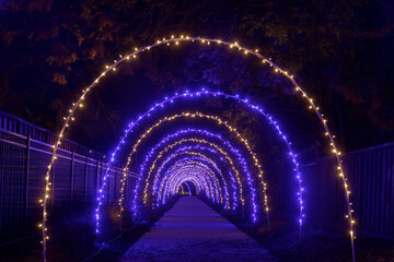 Christmas Light Installation in the Bay Area, California