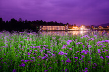 CHIANG MAI, THAILAND - December 17, 2022 : Lakeside Buildings With Flower Beds In The Foreground At Night