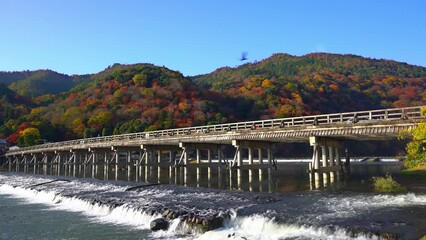 Wall Mural - 京都　紅葉の嵐山　渡月橋と桂川の流れ