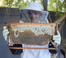 Bees, Senior Woman And Honey Production Of A Agriculture Worker Happy About Bee Produce. Sustainability, Eco Friendly And Farming Growth Of A Elderly Woman In The Countryside Or Garden With Happiness