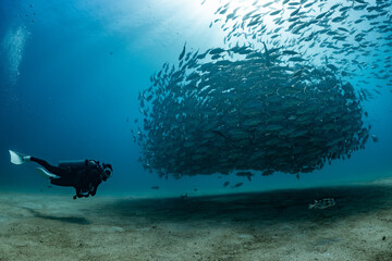 Wall Mural - scuba diver with Cabo Pulmo jack tornado under sunny sky