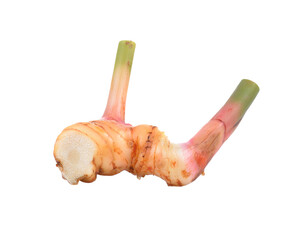 Wall Mural - galangal isolated on  transparent png