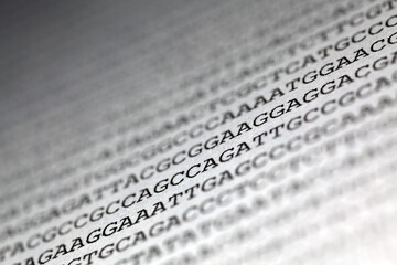 Wall Mural - Printed DNA sequence - genomic data