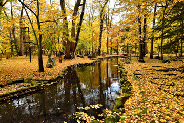  神楽岡公園　秋