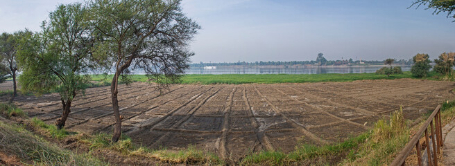 Wall Mural - Arable farm fields with trees on edge of large river