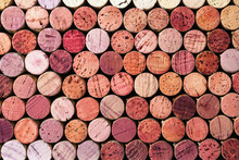 Wine Cork From Red Wine, Natural Texture Used Bottle Stoppers Top View, Red Gradient. Horizontal Background From Closeup Wooden Corks. Natural Textured Stoppers Colored Wide Banner