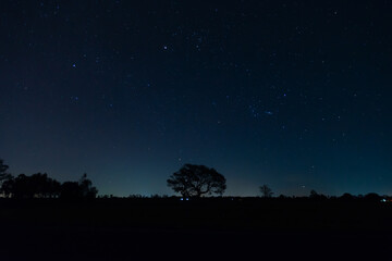 Wall Mural - panorama blue night sky .dark blue sky.starry nigth.