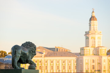 Wall Mural - Sculpture of a lion on the Admiralteiskaya embankment in St. Petersburg opposite Kunstkamera on a summer evening