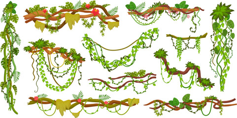 Jungle creepers. Cartoon creeper plant, tree branch hanging vines rainforest thicket, twisted floral liana with green forest ivy climbing vegetation, ingenious vector illustration