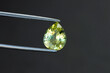 Natural bright lemon yellow color chrysoberyl drop shape faceted loose gemsotne. Isolated on dark held in tweezers on gray background. Setting for jewelry making. Unheated, untreated, earth mined.