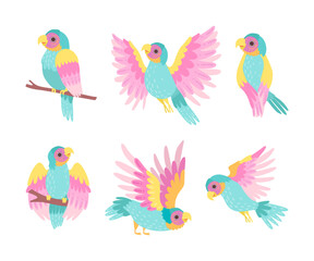 Sticker - Tropical Colorful Parrot with Bright Feathers and Beak Vector Set