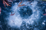 Fototapeta Desenie - blue ice on the lake, shot from a close distance with a trace of an impact, cracks and microtexture, fallen leaves on its surface, taken from above in winter in a frosty day